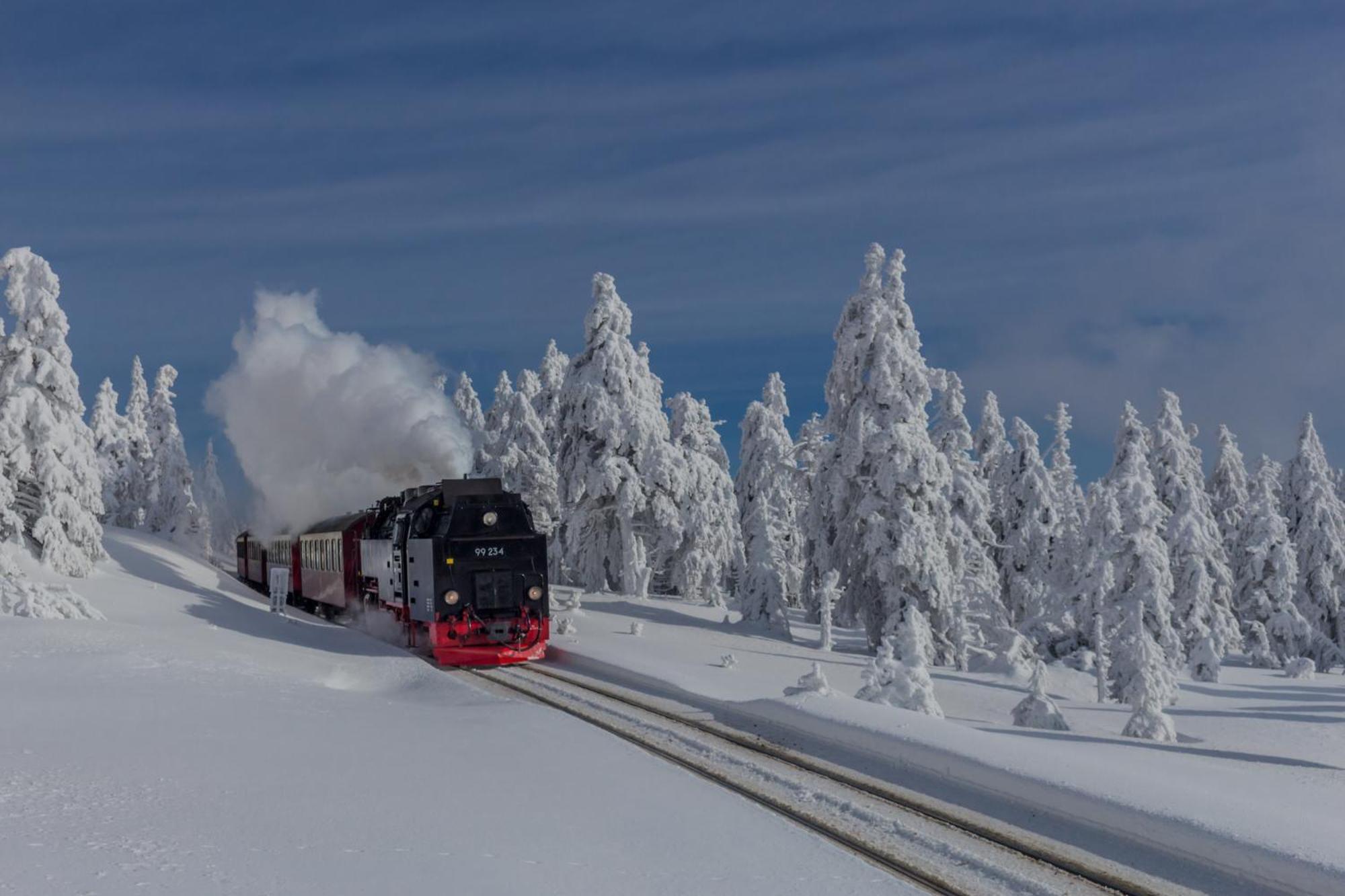 Fewo Harzgipfel Mit Dampfdusche #Innestadtnaehe#Netflix Von Harztraveler バート・ハルツブルク エクステリア 写真